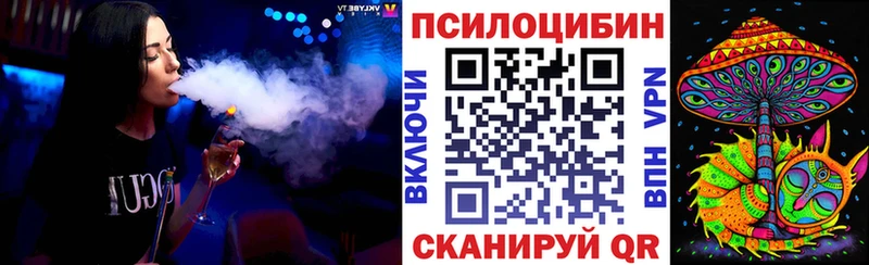 hydra ссылка Дивногорск Псилоцибиновые грибы MAGIC MUSHROOMS